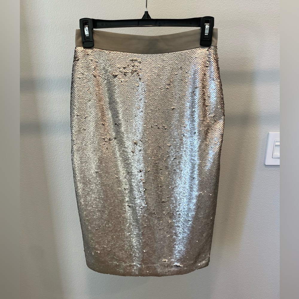 Banana Republic Sequin Pencil Skirt